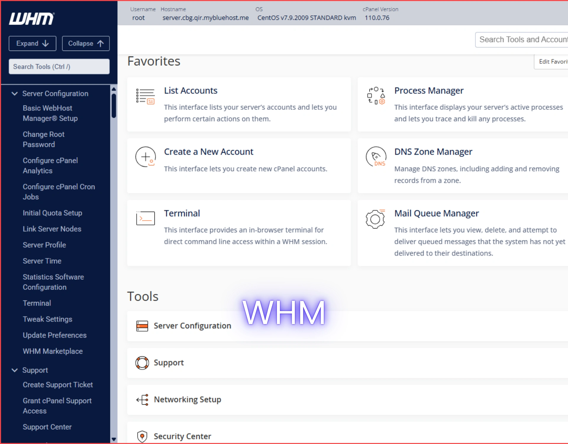 Website Development and Maintenance with Digital Marketing 15 WHM 9049
